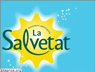 lasalvetat.fr