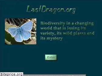 lastdragon.org