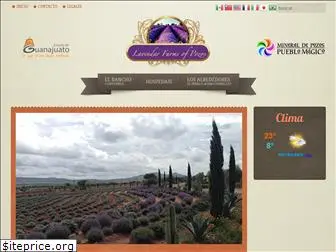 lavendarfarmsofpozos.com