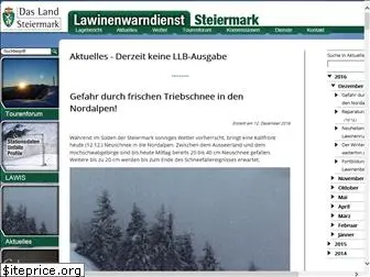 lawine-steiermark.at