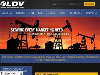 ldvconsulting.com