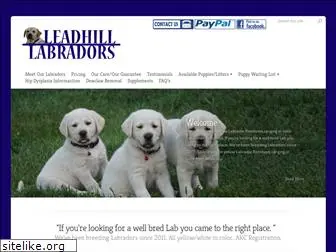 leadhill-labs.com
