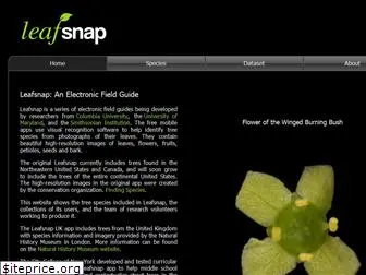 leafsnap.com