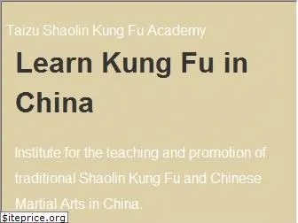 learnshaolinkungfu.com