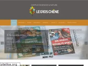 legroschene.fr