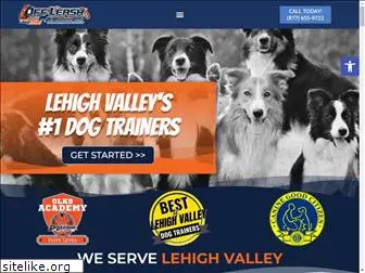 lehighvalleydogtrainers.com