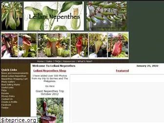leilaninepenthes.com