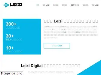 leizidigital.com