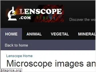 lenscope.com