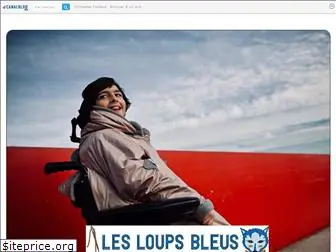 lesloupsbleus.fr