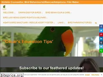 letcompanionbirdsfly.com.au