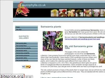leucophylla.co.uk