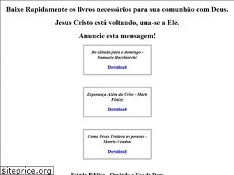 levinformatic.com.br