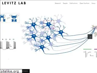 levitzlab.com