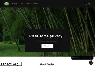 lewisbamboo.com