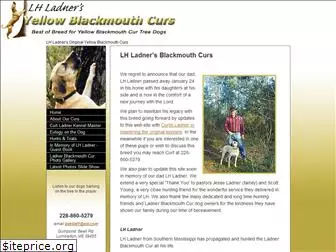 lhladnerblackmouthcurs.com