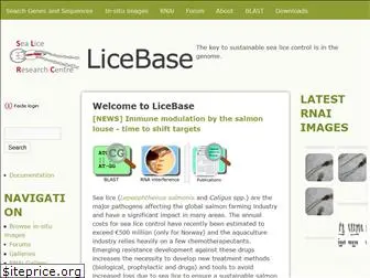 licebase.org