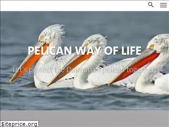 life-pelicans.com