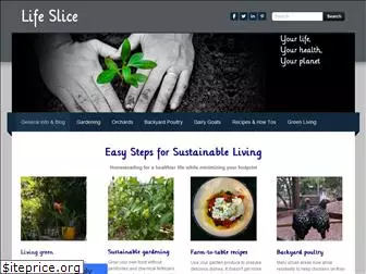 life-slice.com