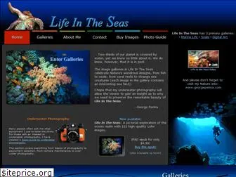 lifeintheseas.com