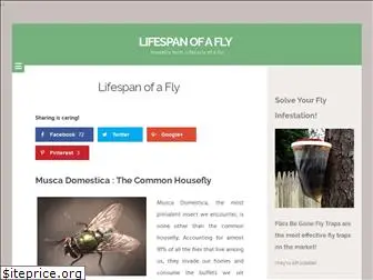 lifespanofafly.com