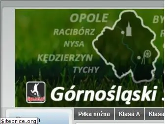 liga.net.pl
