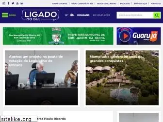 ligadonosul.com.br