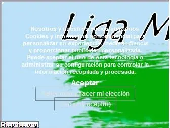ligamanagervirtual.com