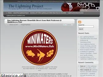 lightning-maroon-clownfish.com