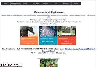 lilbeginnings.com