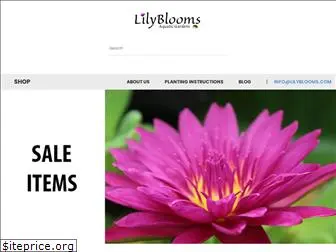 lilyblooms.com