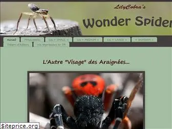 lilycobrawonderspiders.com