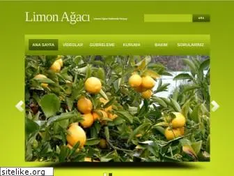 limonagaci.net