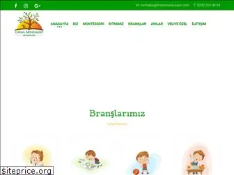 limonmontessori.com