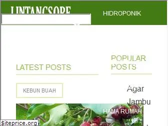 lintangsore.com