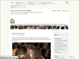 linteebean.com