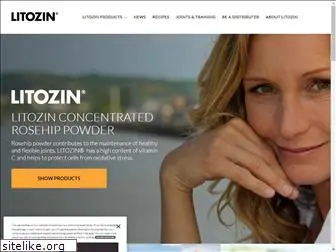 litozin.com