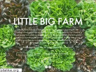 littlebigcsa.com