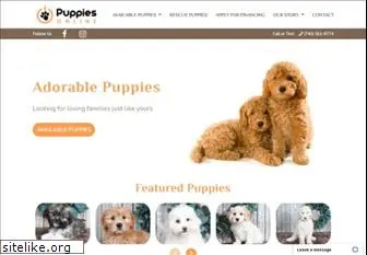 littlepuppiesonline.com