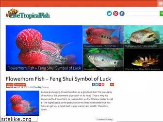 livetropicalfish.net