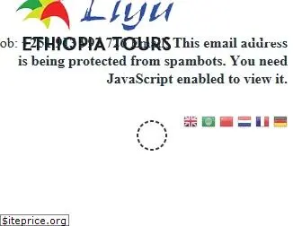 liyuethiopiatours.com