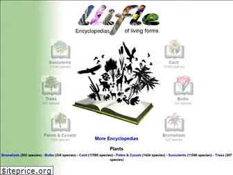 llifle.com