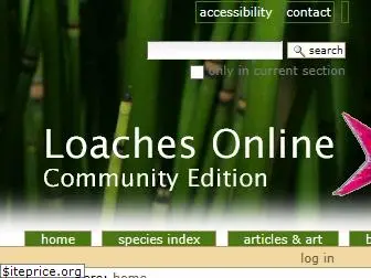 loaches.com