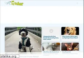 localdogwalker.com