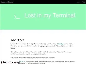 lostinmyterminal.com