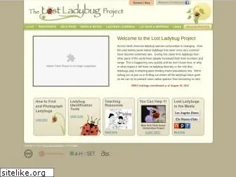 lostladybug.org