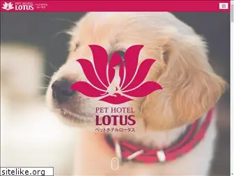 lotus-dog.com