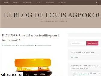 louisagbokou.com