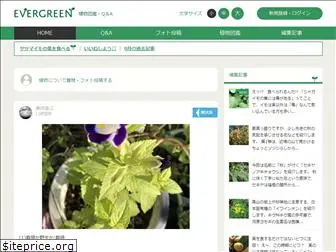 love-evergreen.com