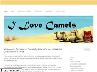 lovecamels.com